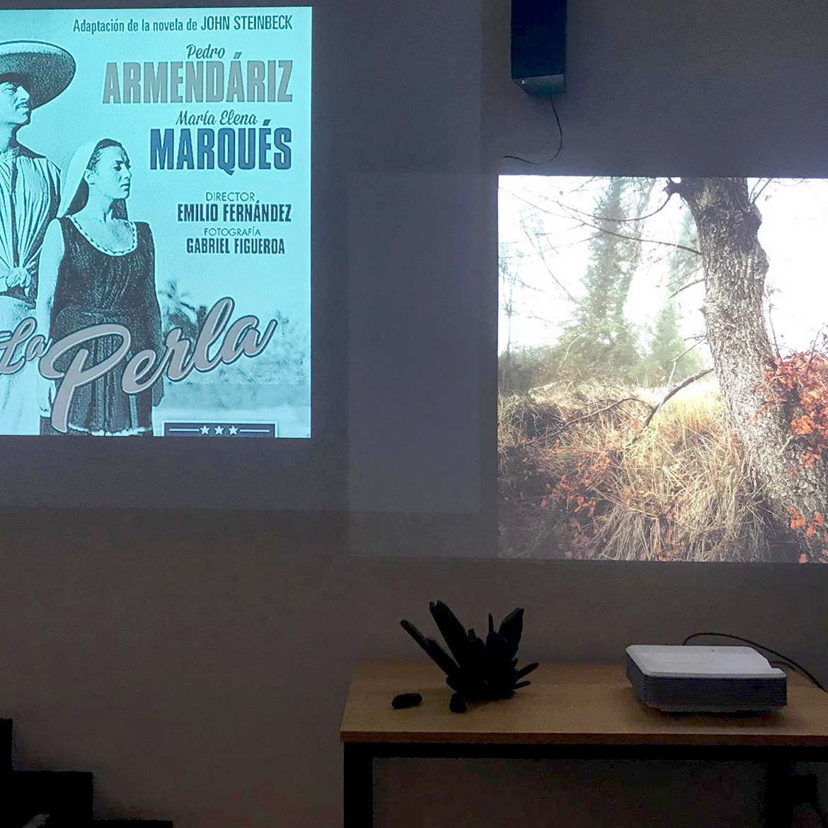 “life on mars”, installation and lecture at the series of lectures “mart: l’altra terra”, institut d’humanitats, centre de cultura de contemporània de barcelona (cccb), october 28th 2019